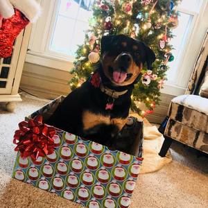 Meet your Posher, Amy